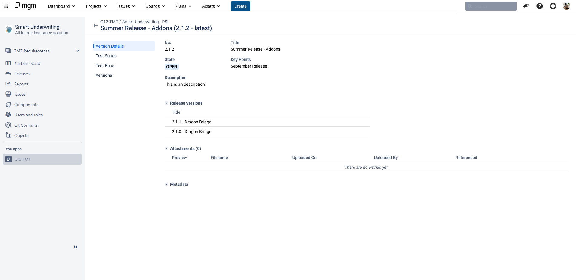 Jira Plugin - Version Data.jpg